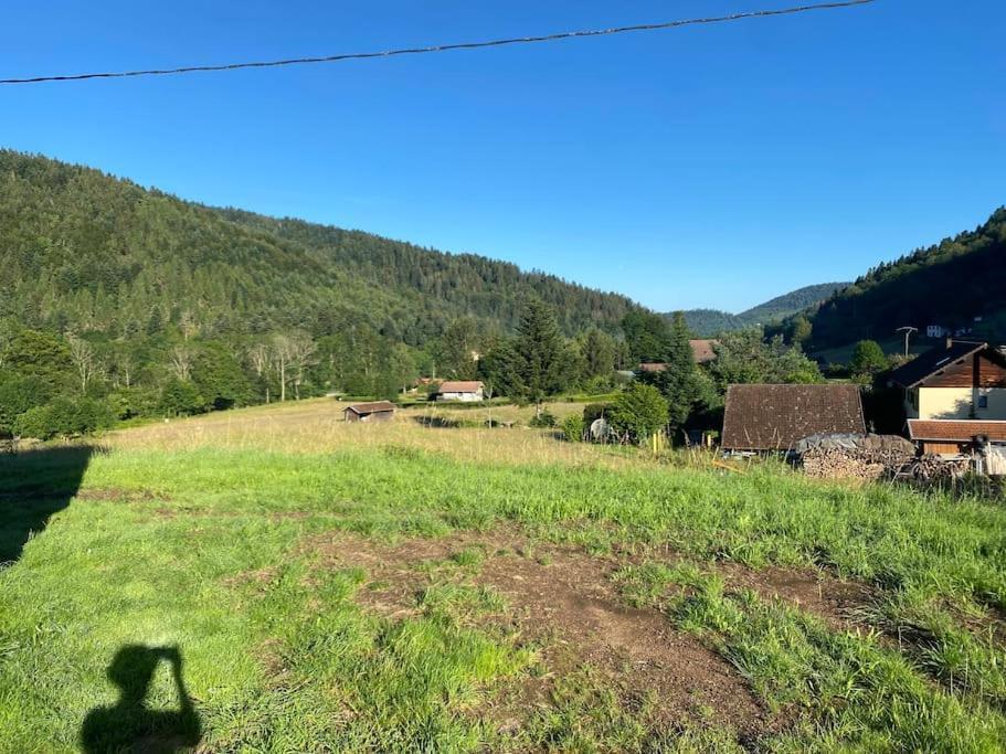 Appartement 5 Personnes Avec Espace Plein Air Saint-Maurice-sur-Moselle Extérieur photo