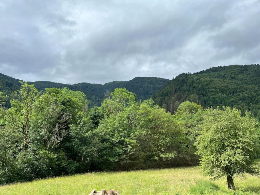 Appartement 5 Personnes Avec Espace Plein Air Saint-Maurice-sur-Moselle Extérieur photo