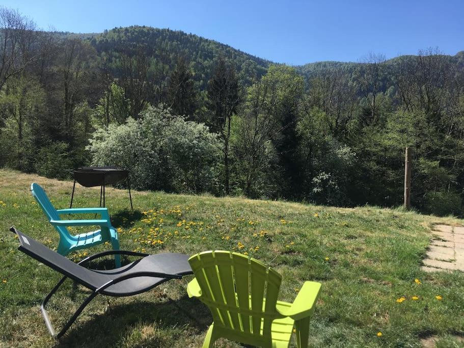 Appartement 5 Personnes Avec Espace Plein Air Saint-Maurice-sur-Moselle Extérieur photo